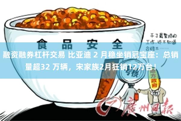 融资融券杠杆交易 比亚迪 2 月稳坐销冠宝座：总销量超32 万辆，宋家族2月狂销12万台！