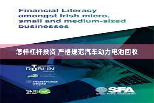 怎样杠杆投资 严格规范汽车动力电池回收