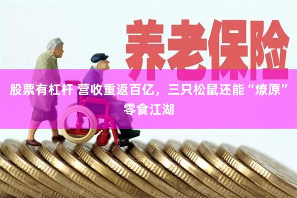 股票有杠杆 营收重返百亿，三只松鼠还能“燎原”零食江湖