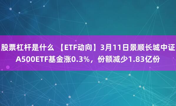 股票杠杆是什么 【ETF动向】3月11日景顺长城中证A500ETF基金涨0.3%，份额减少1.83亿份