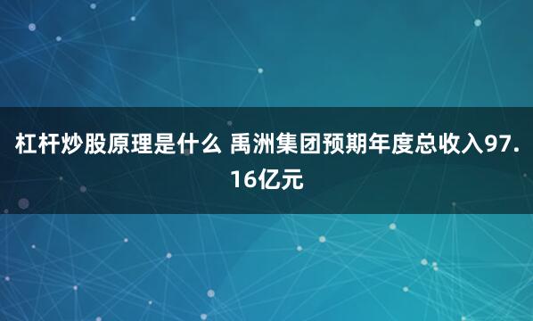 杠杆炒股原理是什么 禹洲集团预期年度总收入97.16亿元