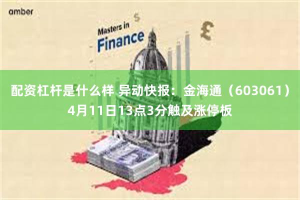 配资杠杆是什么样 异动快报：金海通（603061）4月11日13点3分触及涨停板