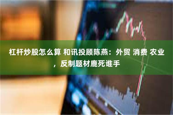 杠杆炒股怎么算 和讯投顾陈燕：外贸 消费 农业，反制题材鹿死谁手
