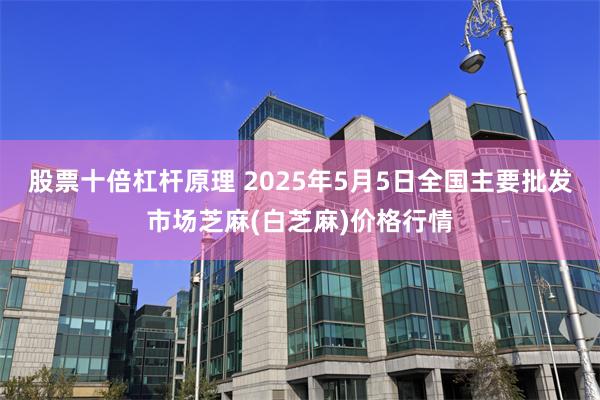 股票十倍杠杆原理 2025年5月5日全国主要批发市场芝麻(白芝麻)价格行情