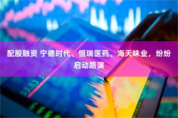 配股融资 宁德时代、恒瑞医药、海天味业，纷纷启动路演