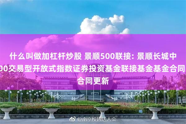 什么叫做加杠杆炒股 景顺500联接: 景顺长城中证500交易型开放式指数证券投资基金联接基金基金合同更新