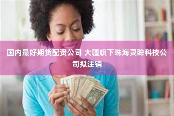 国内最好期货配资公司 大疆旗下珠海灵眸科技公司拟注销
