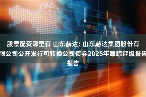 股票配资哪里有 山东赫达: 山东赫达集团股份有限公司公开发行可转换公司债券2025年跟踪评级报告