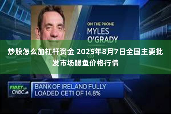炒股怎么加杠杆资金 2025年8月7日全国主要批发市场鳗鱼价格行情