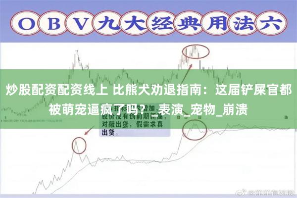 炒股配资配资线上 比熊犬劝退指南：这届铲屎官都被萌宠逼疯了吗？_表演_宠物_崩溃
