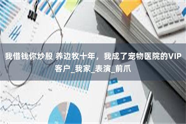 我借钱你炒股 养边牧十年，我成了宠物医院的VIP客户_我家_表演_前爪
