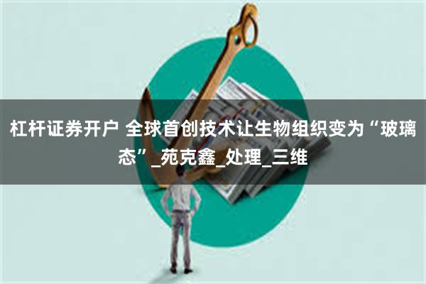 杠杆证券开户 全球首创技术让生物组织变为“玻璃态”_苑克鑫_处理_三维