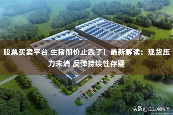 股票买卖平台 生猪期价止跌了!最新解读:现货压力未消 反弹持续性存疑