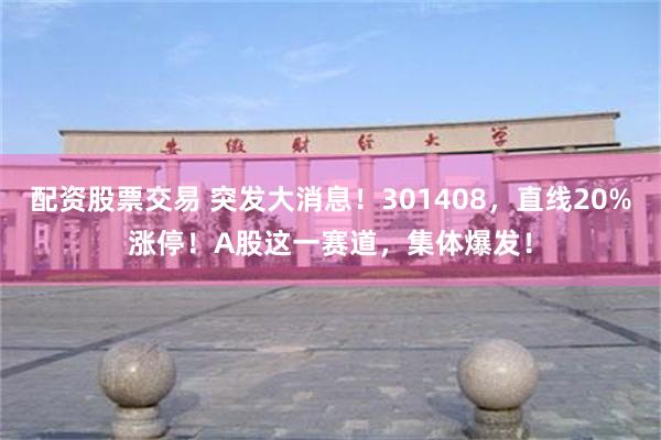 配资股票交易 突发大消息！301408，直线20%涨停！A股这一赛道，集体爆发！