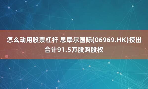 怎么动用股票杠杆 思摩尔国际(06969.HK)授出合计91.5万股购股权